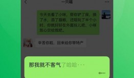 宁强微信爆料最新消息今天,最新动态揭秘，今日热点事件一览无余！”